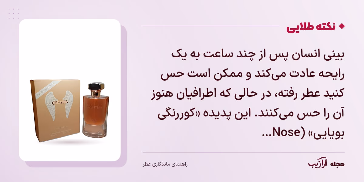 نکته طلایی ماندگاری عطر: بینی انسان پس از چند ساعت به یک رایحه عادت می‌کند و ممکن است حس کنید عطر رفته، در حالی که اطرافیان هنوز آن را حس می‌کنند. این پدیده «کوررنگی بویایی» (Nose…